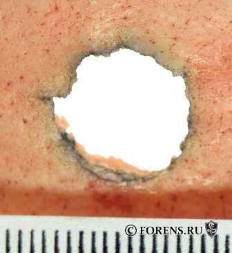 gallery_9_367_6310.jpg