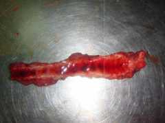 Техника вскрытия Страница 56