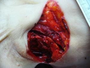 post-84-1200292013_thumb.jpg