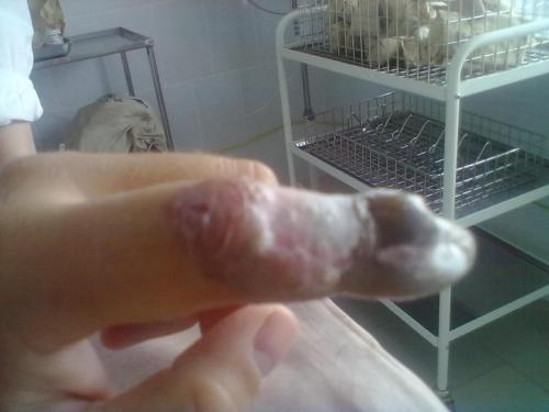 post-2956-0-10776800-1325607748_thumb.jpg