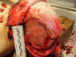 post-84-1267175453_thumb.jpg