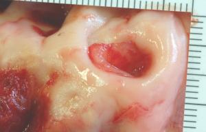 post-18-1204822653_thumb.jpg