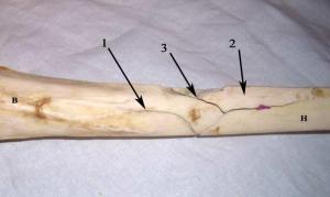 post-3-1204469446_thumb.jpg