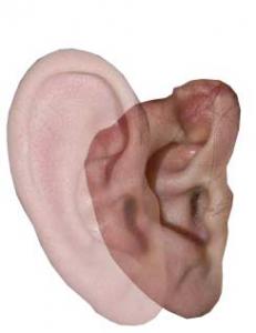 post-2-1238135677_thumb.jpg