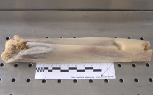 DSCF0773.png
