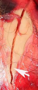 post-18-1269412940_thumb.jpg
