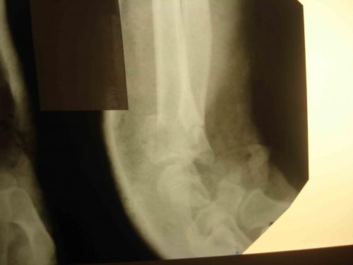 post-7-1300798646_thumb.jpg