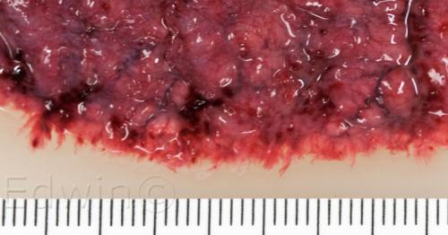 fire3.jpg