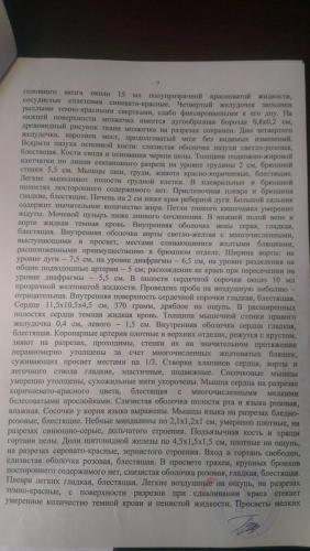 IMAG0912-11.jpg