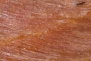 post-2-1209438726_thumb.jpg