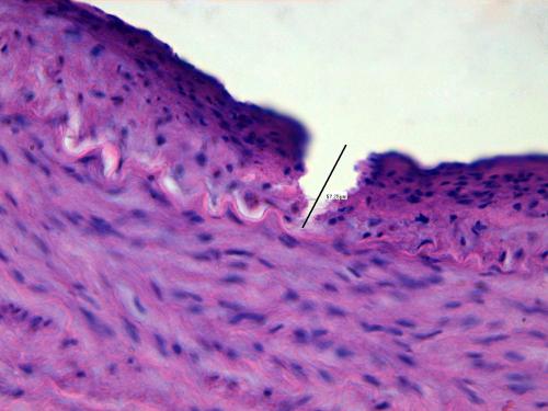 post-2431-1302201403_thumb.jpg
