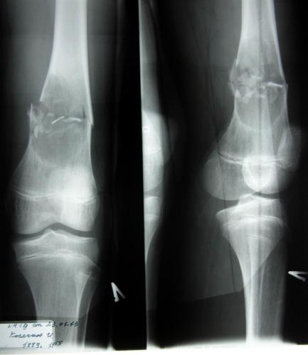 post-313-0-94206900-1366251741_thumb.jpg