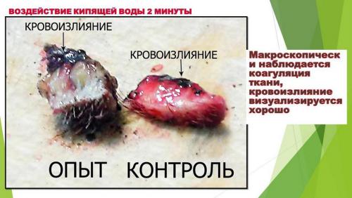 Слайд12.JPG