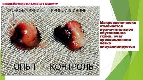 Слайд7.JPG
