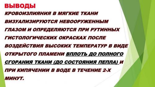 Слайд14.JPG