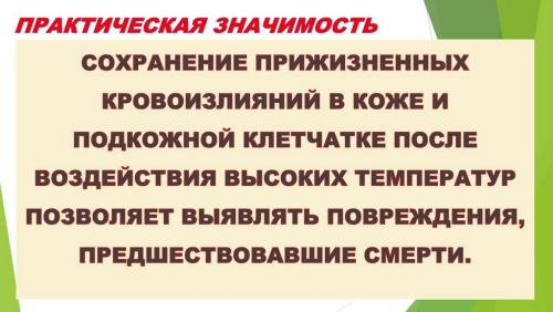 Слайд15.JPG
