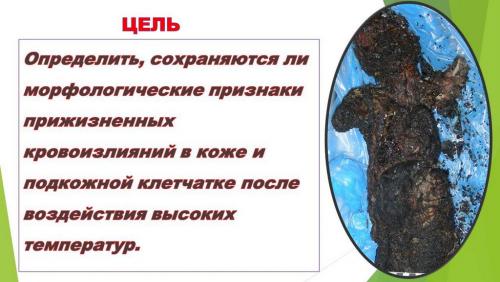 Слайд3.JPG