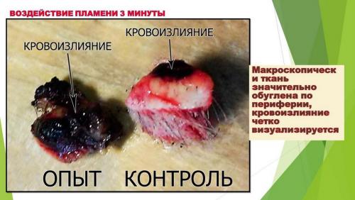 Слайд9.JPG