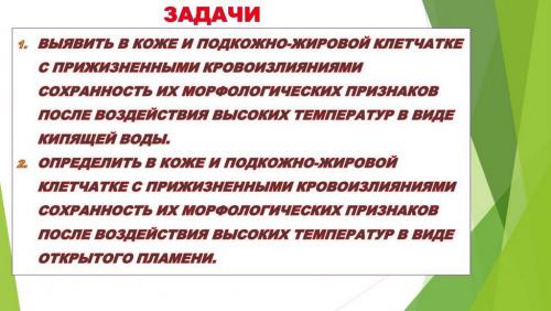 Слайд4.JPG