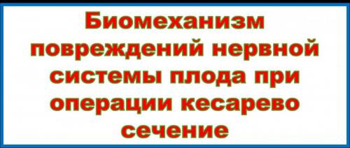 Рисунок1.jpg
