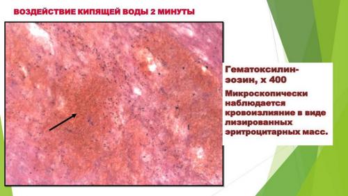 Слайд13.JPG