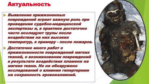 Слайд2.JPG