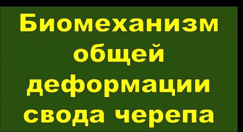 Рисунок12.jpg