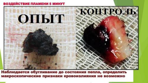 Слайд11.JPG