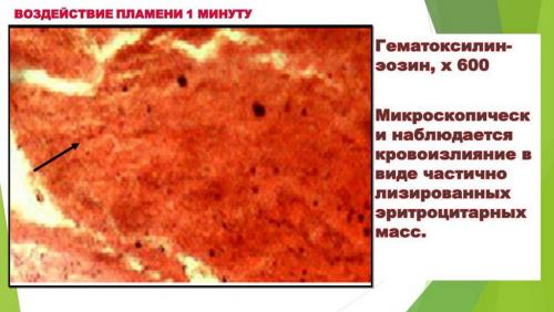 Слайд8.JPG