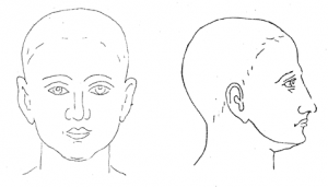 post-2-1178780664_thumb.png