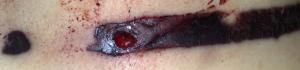 post-192-1243613260_thumb.jpg