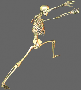 post-145-1273733471_thumb.png