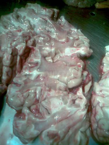 post-2372-1305612461_thumb.jpg