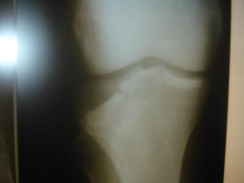 post-2399-1304607996_thumb.jpg