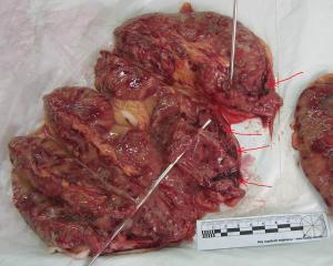 post-313-1276420985_thumb.jpg