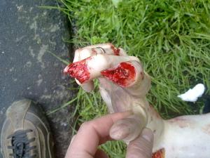 post-35-1275679667_thumb.jpg