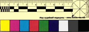 post-145-1183569156_thumb.jpg