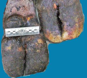 post-145-1247459475_thumb.jpg