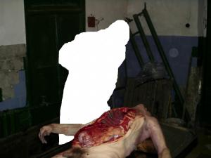 post-192-1218640068_thumb.jpg