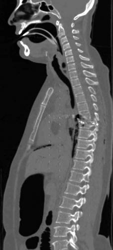 dicom6.jpg