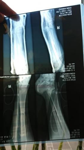 post-10347-0-55669900-1535464044_thumb.jpg