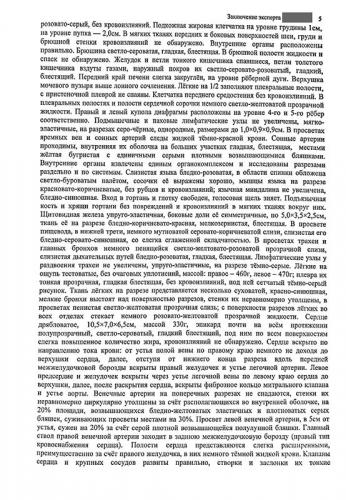 post-10656-0-27280300-1534509210_thumb.jpg