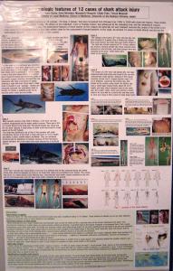 Poster3.jpg