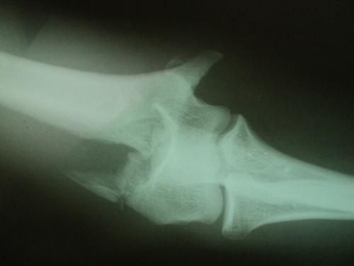 post-3697-0-65508000-1379406471_thumb.jpg