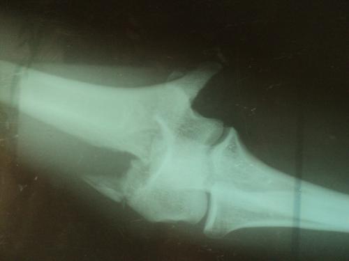 post-3697-0-67180100-1379406415_thumb.jpg