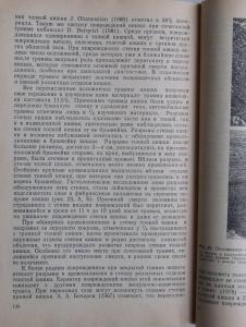 DSCF1161.JPG