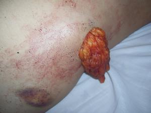 post-1192-1288449884_thumb.jpg