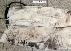 bekleid4.jpg