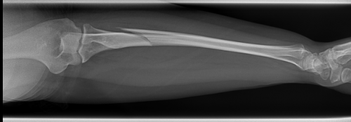 post-4552-0-65642100-1381328802_thumb.png