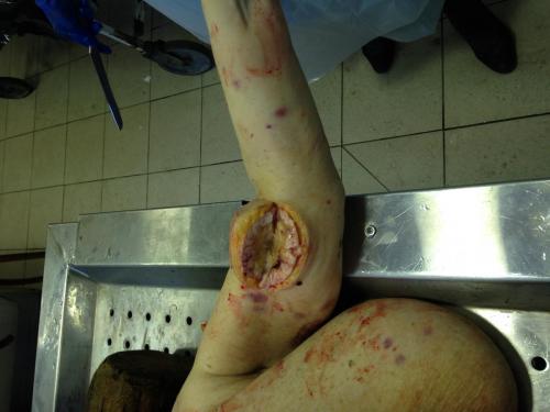 post-5536-0-37551400-1475312296_thumb.jpeg